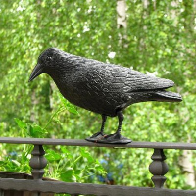 Ворон для відлякування птахів
